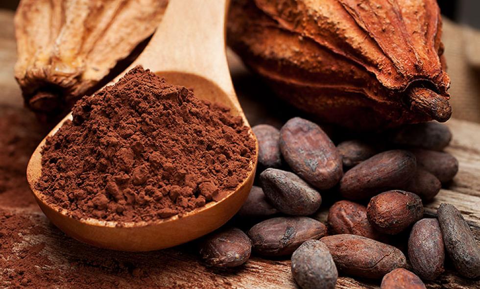 Chocolate puro
